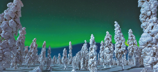 �R�����B�_�R�����BĬ��������18��