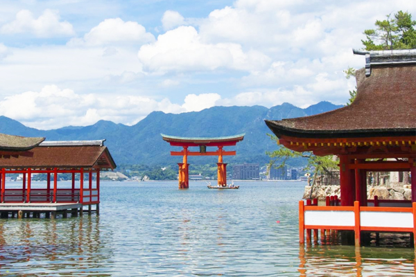 �Y�q����