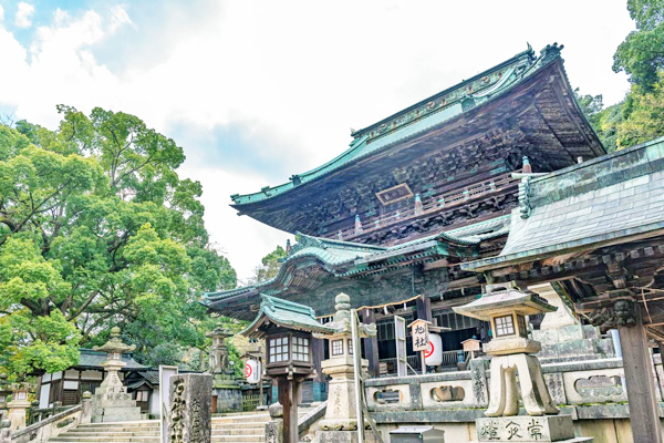 ���M��ù�c