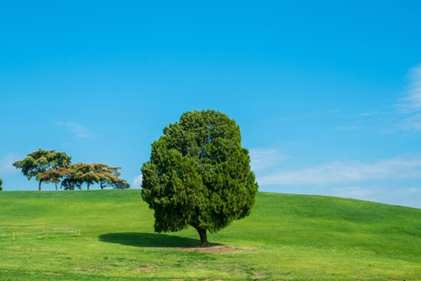 ���L�ǧJ����