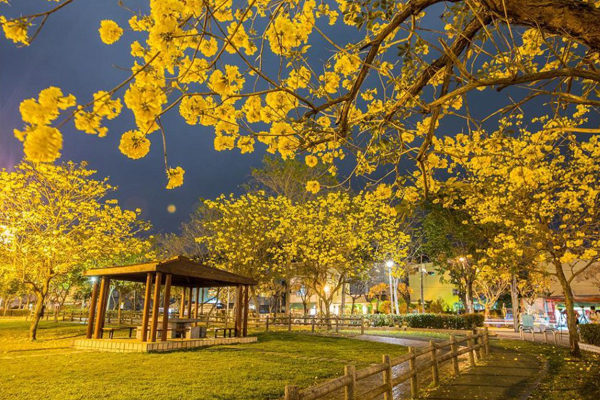 ��ᮮ�ؤ���