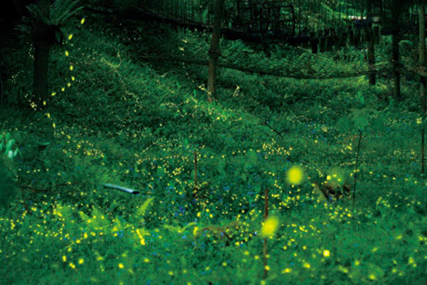 �å��]�y����