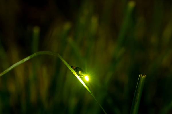 �å��]�y����