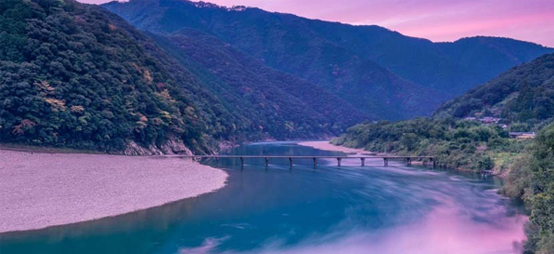 �饻�|��6�ѯ��ұ�����